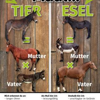 Tafel "Was ist was?" - F4 Allwettertafel